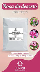 Substrato Rosa do Deserto 5 kg