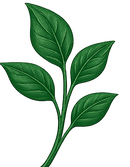 Ecológico – 5 Litros